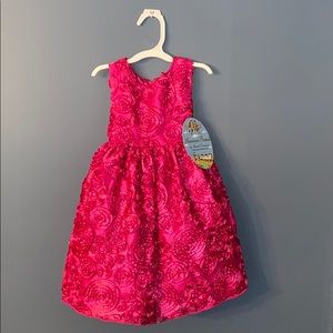 American Princess Pink Dress - New - 2T